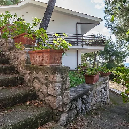 Apartment Casa Kair Bilo 224